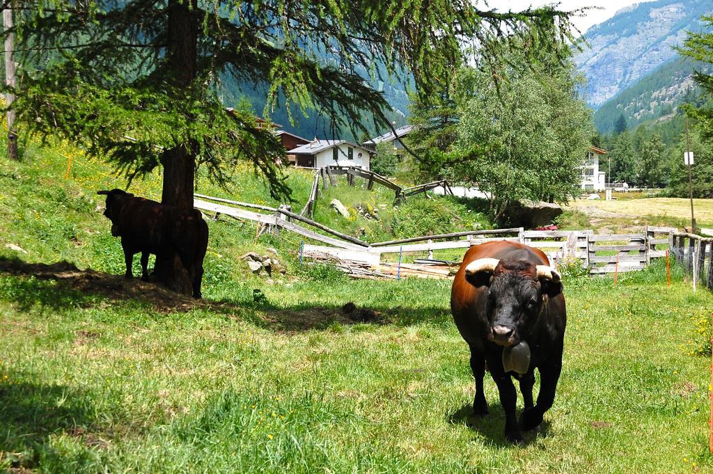 Ferienwohnung Allalinblick Saas-Fee Exterior foto